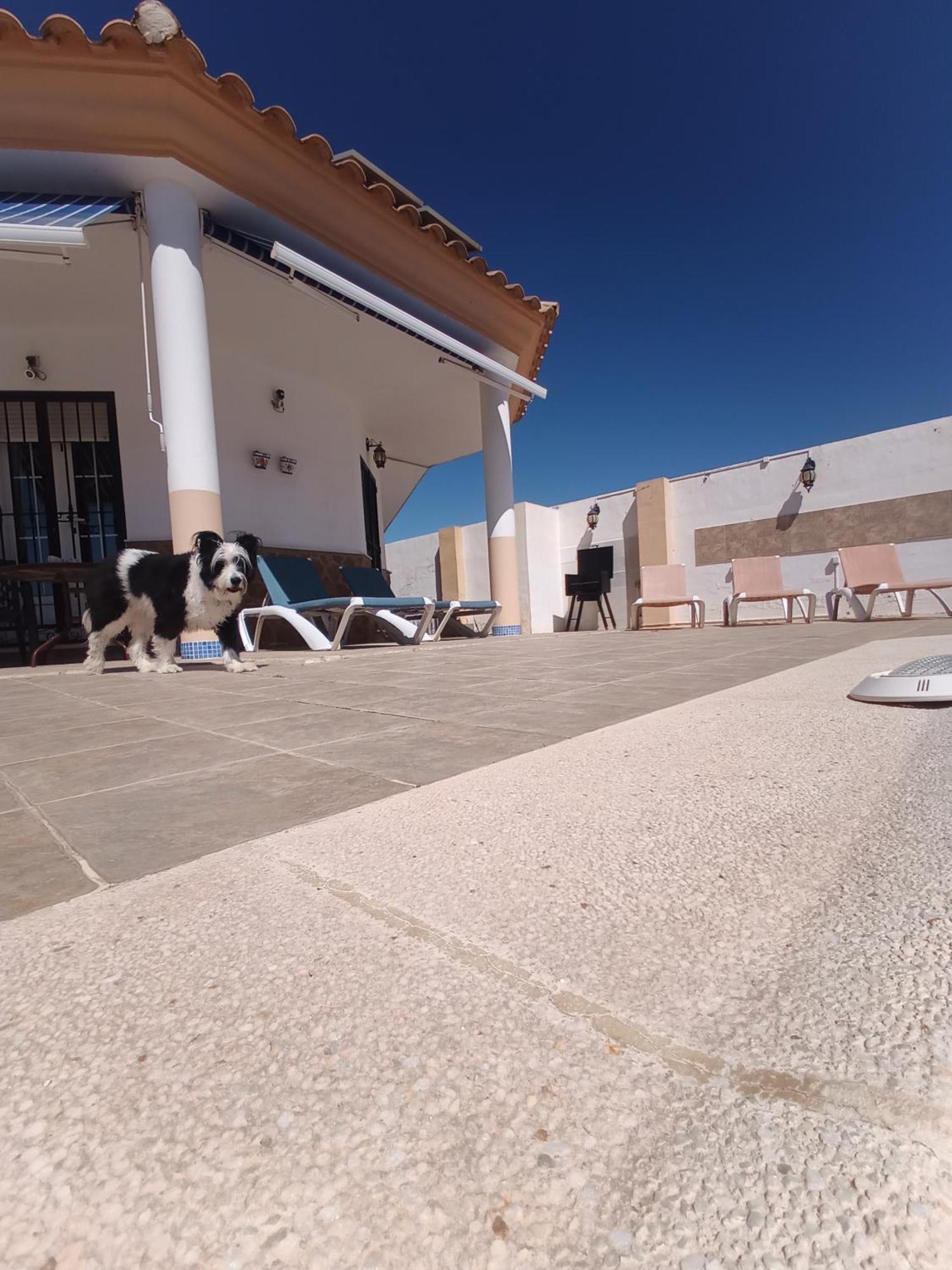 Bonita Casita Luz Del Sol Βίλα Arboleas Εξωτερικό φωτογραφία